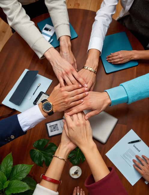 Career Bridge
